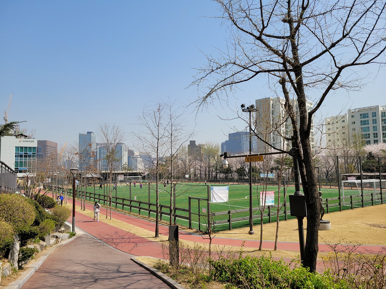 为场上的