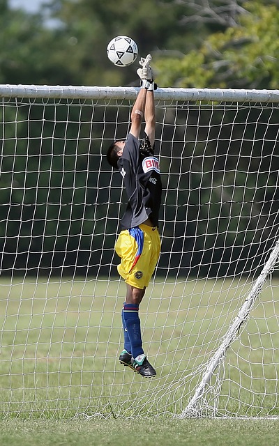 以迅雷不及 以迅雷不及