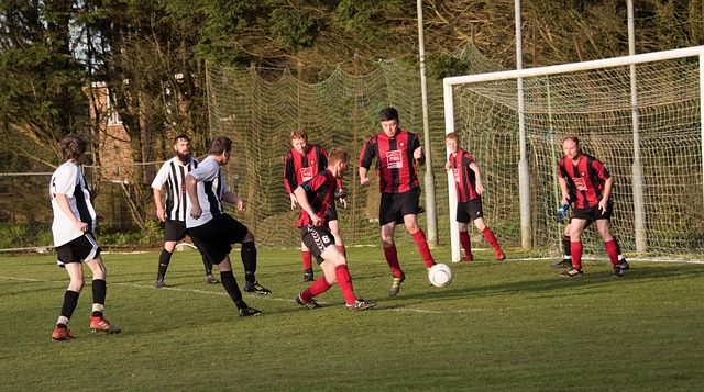 观众的观看 观众的观看